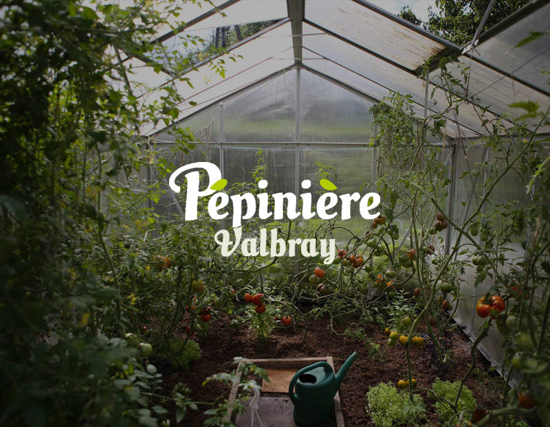Une jardinerie est ouverte à Hyères depuis le 8 mars 2021 , vous trouverez un grand choix de plantes