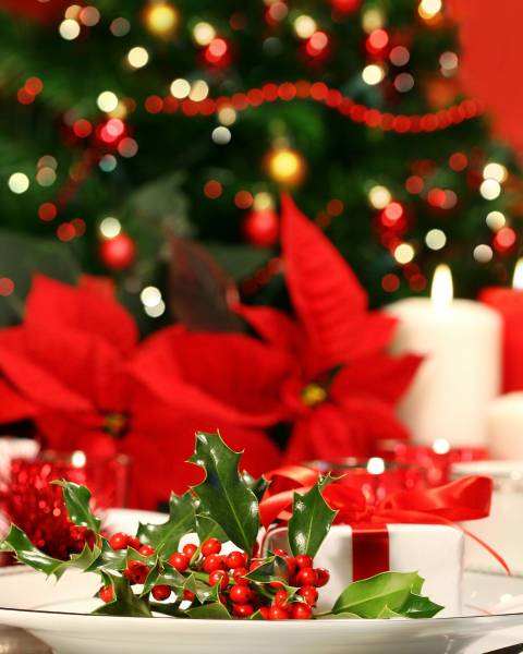Comment décorer vos repas de noël avec des plantes ?
