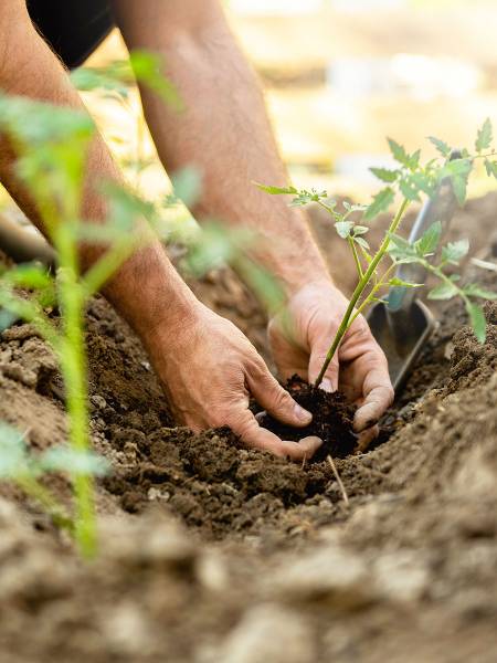 L'hiver est derrière nous : Réveillez votre jardin !
